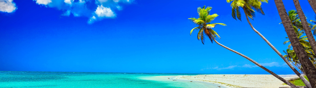 Tropisch eiland Caribbean