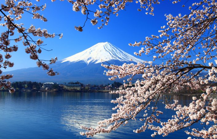 Kersenbloesem aan de rand van Mount Fuji