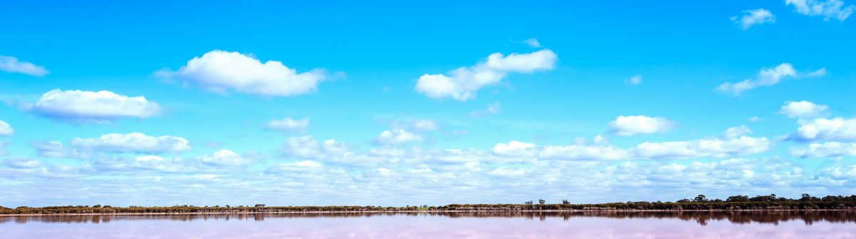 Panoramic view of Pink Salt Lake in Western Australia shutterstock_479989378-2
