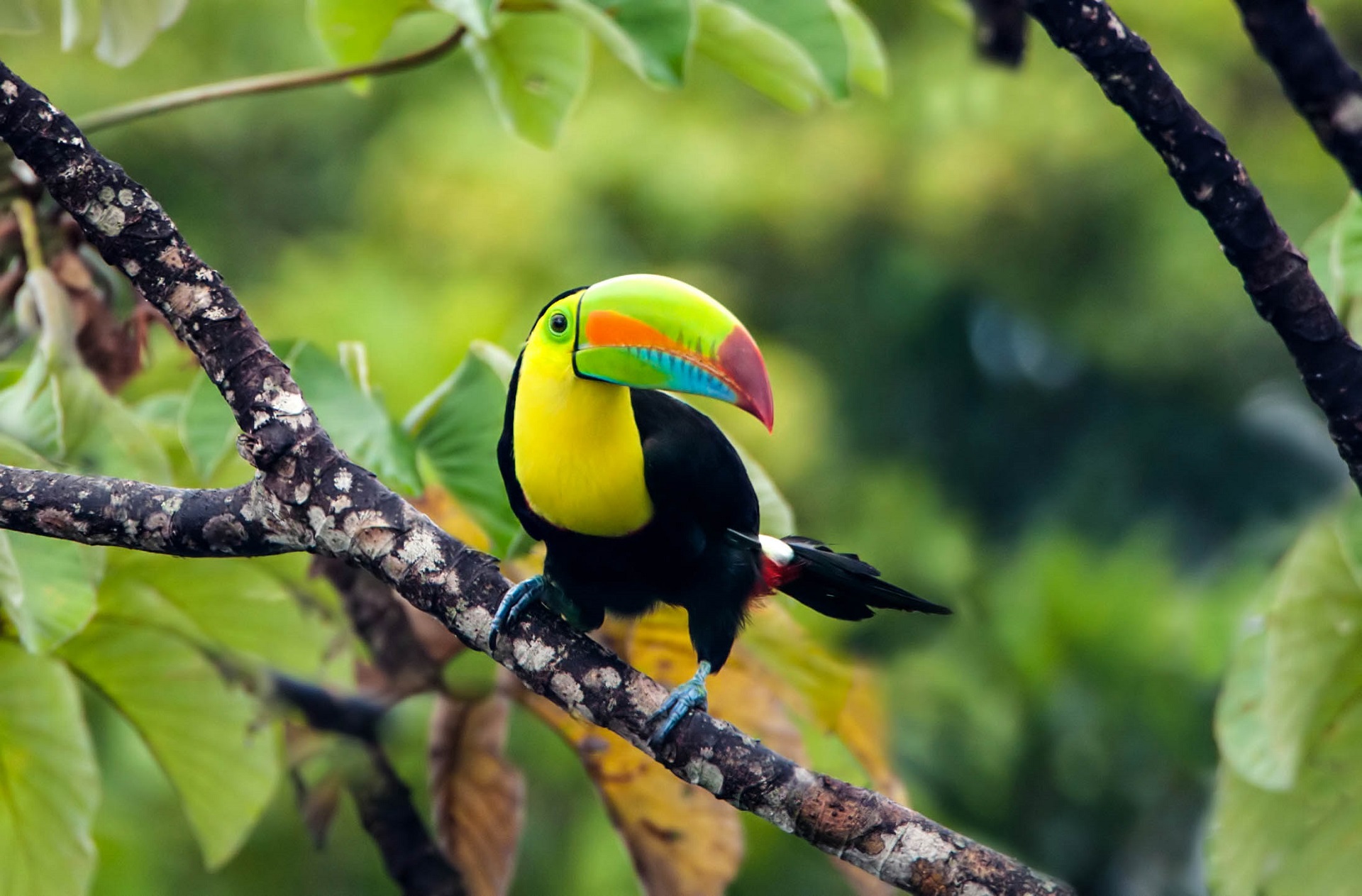 Costa Rica tips