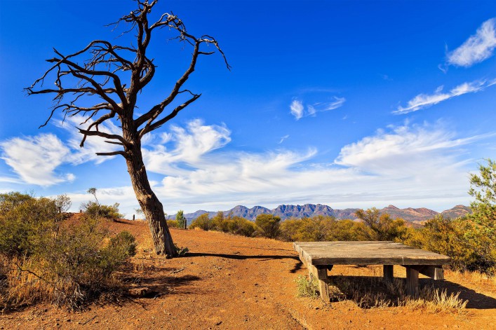 De Australische natuur