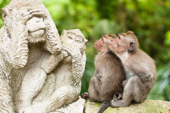 Monkey Forest Ubud