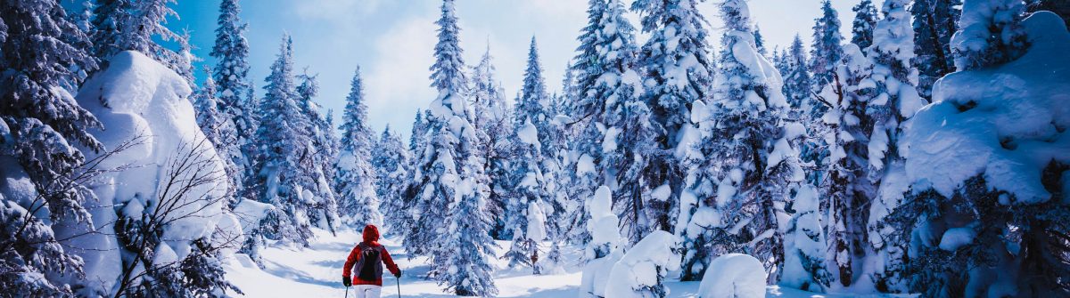 stedentrip praag met wintersport