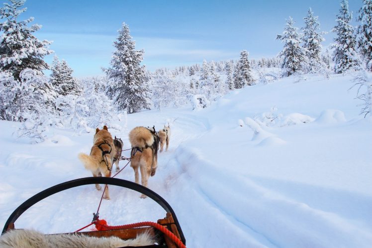 Fins Lapland