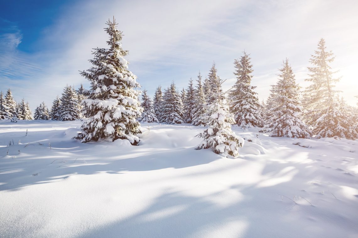 wintersport Duitsland