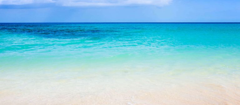 headerfoto_fuerteventura