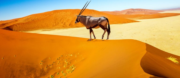 Sossusvlei, Namibië