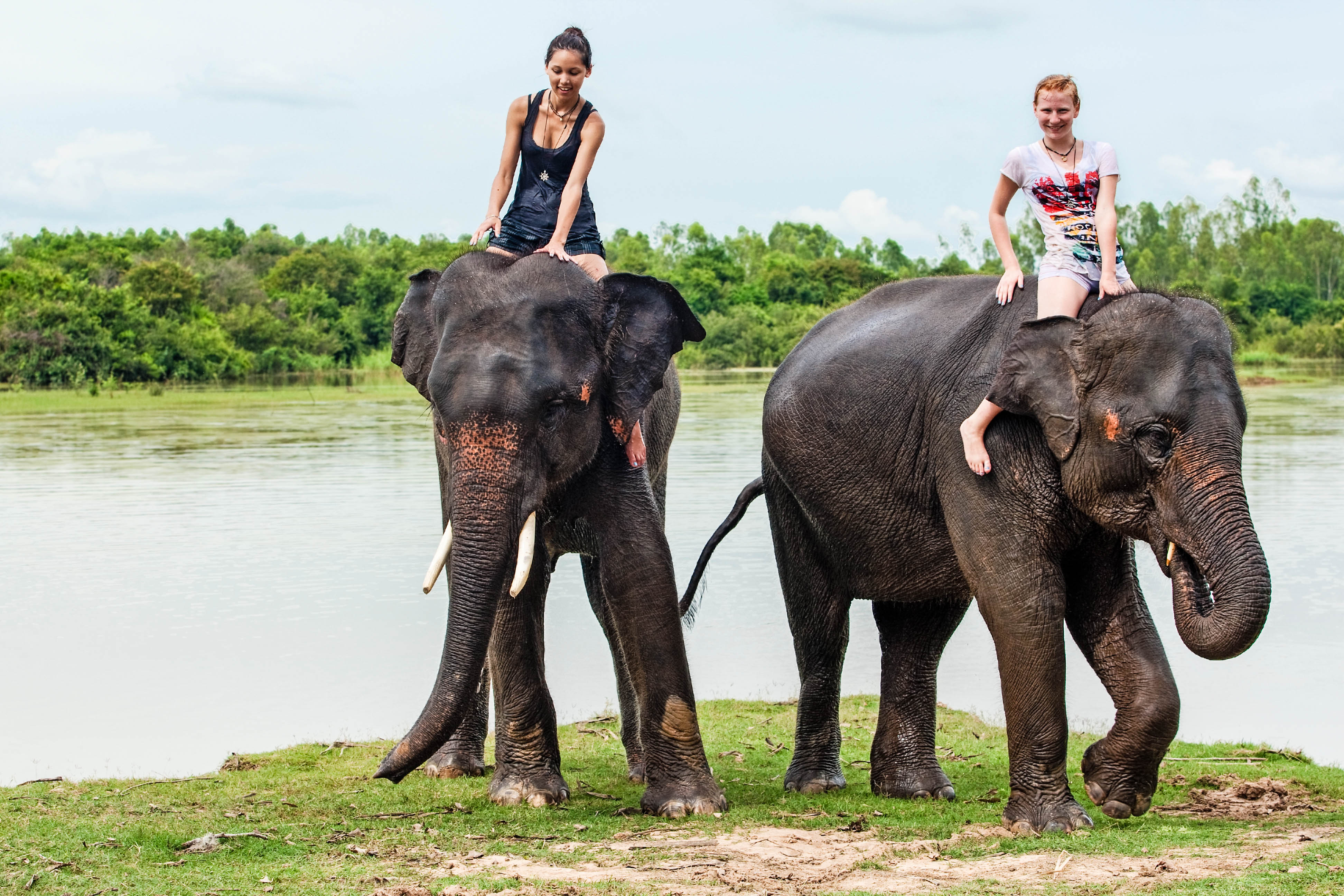 Olifantenrit in Thailand