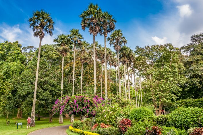botanische tuin