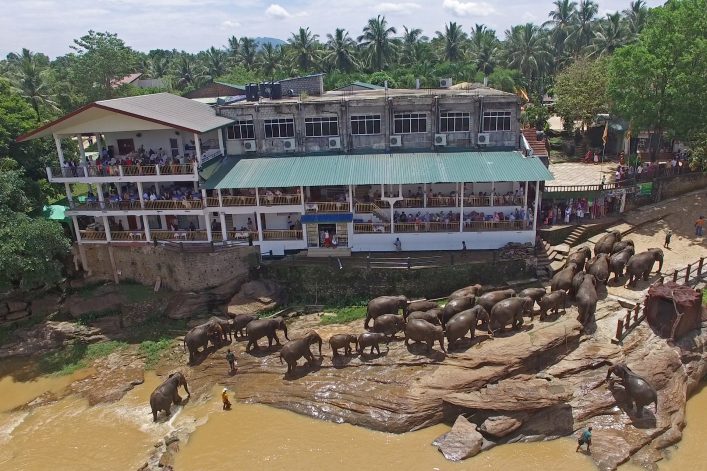 Pinnawala Elephant Orphanage
