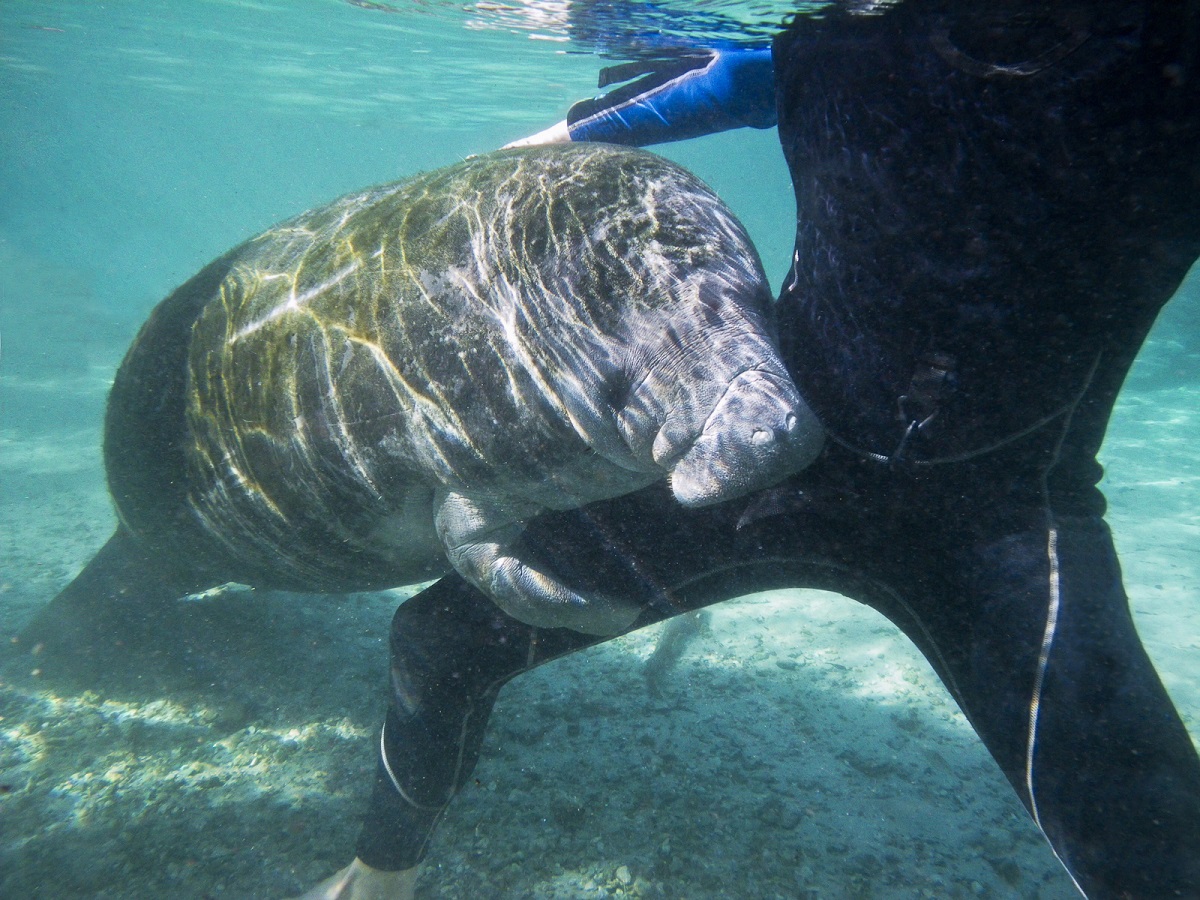 rondreis florida tips