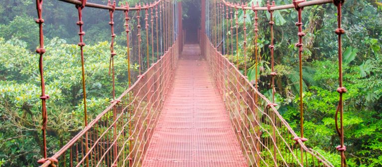 Hangbrug in Monte Verde - Costa Rica