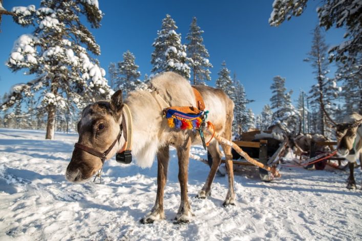 Noorderlicht Finland
