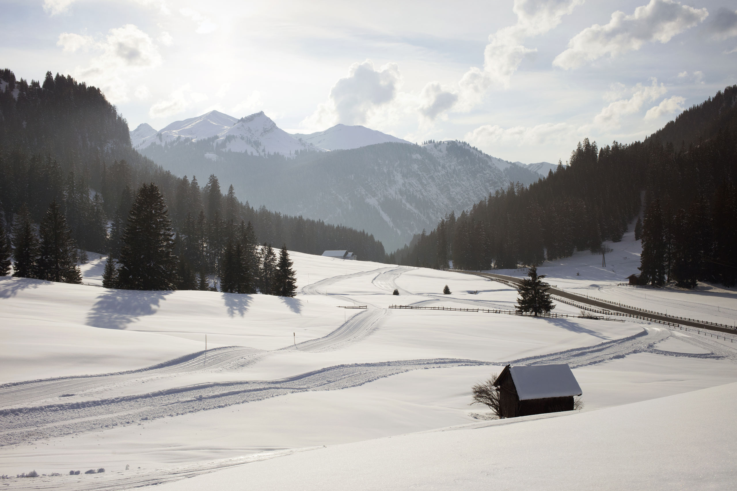 Tirol Tirol