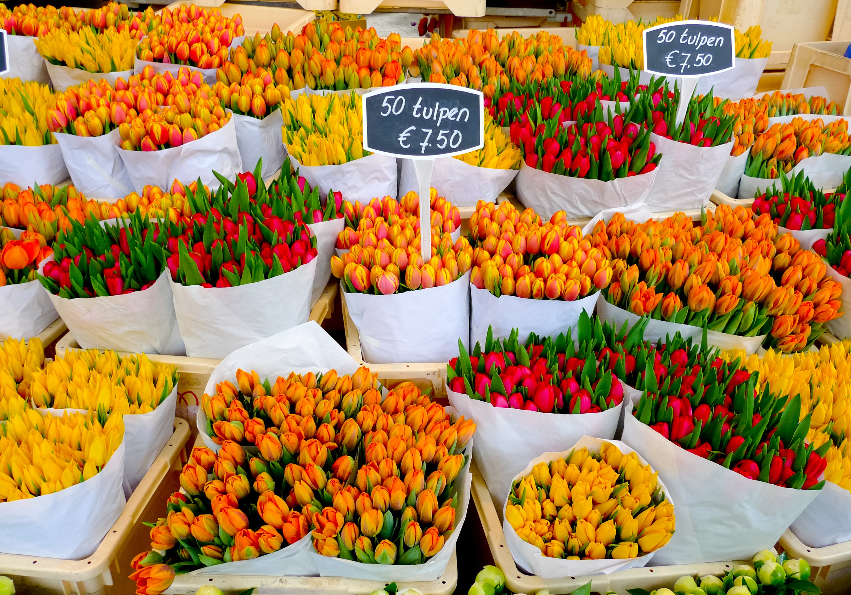 Bloemenmarkt Amsterdam