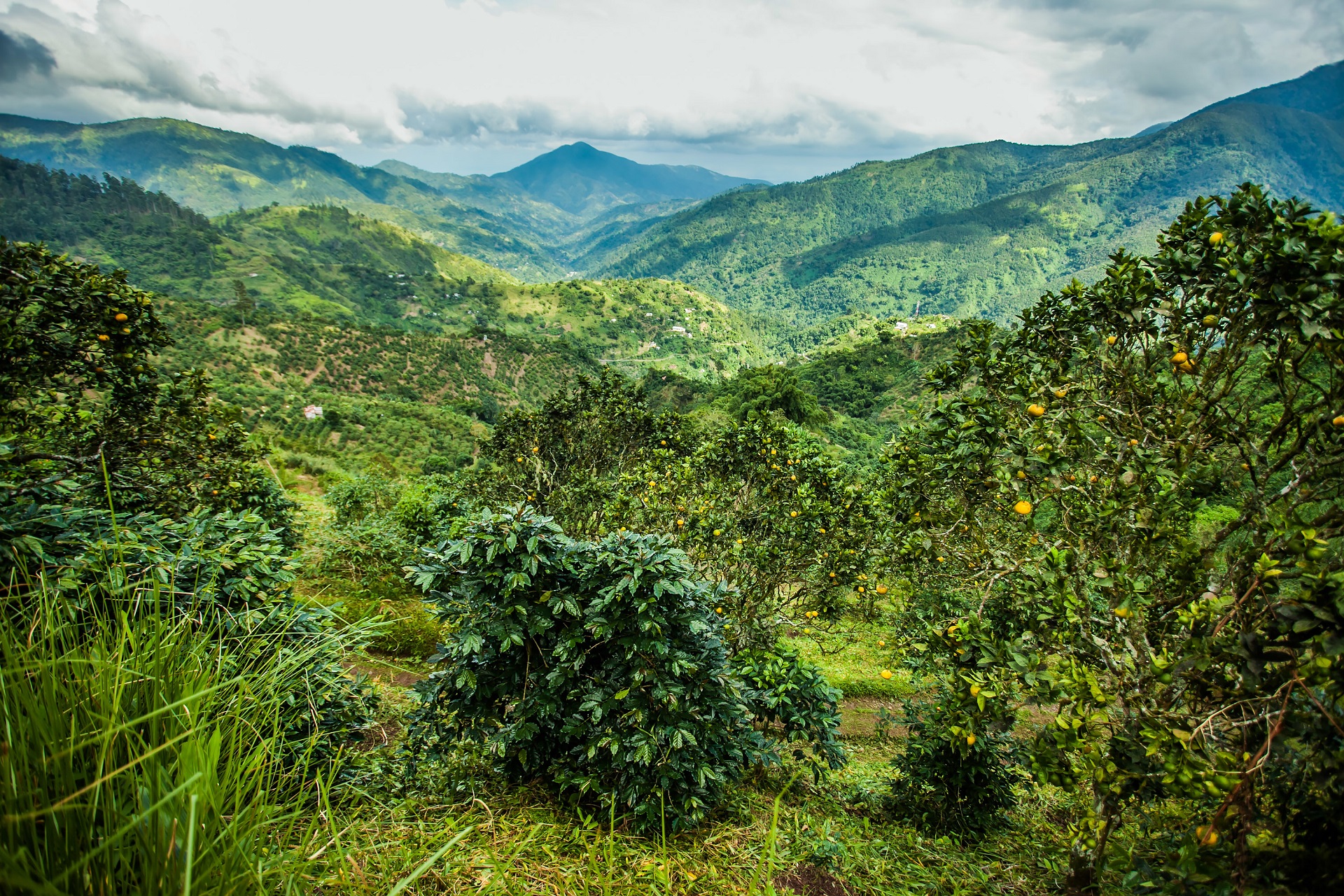 Jamaica bezienswaardigheden Jamaica bezienswaardigheden