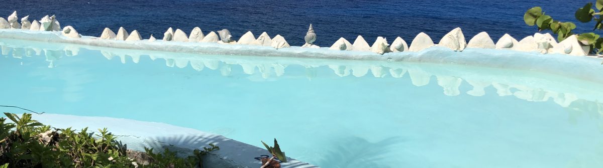 Insider tips Jamaica