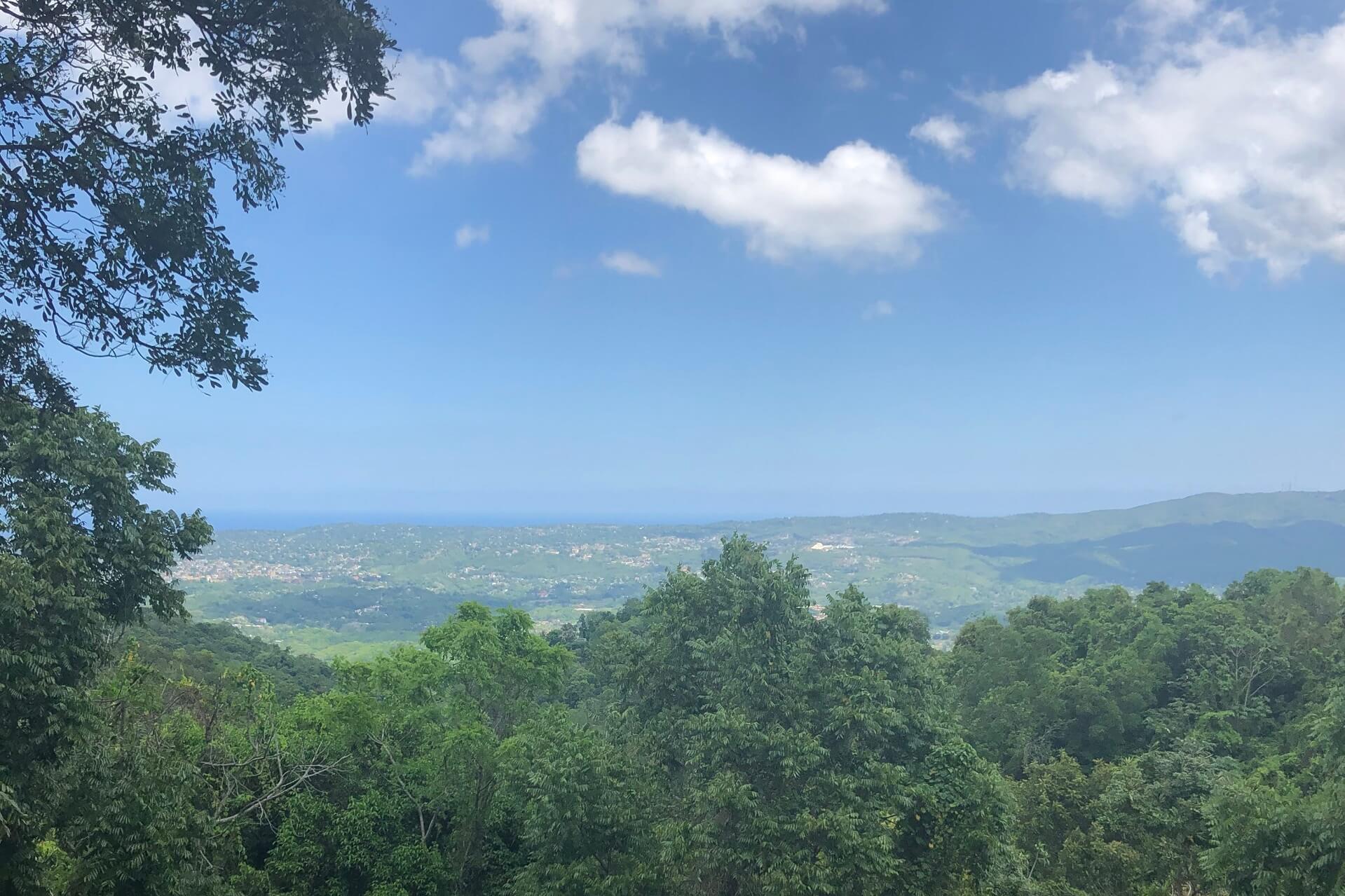 Insider tips Jamaica