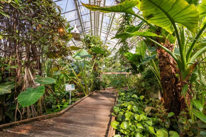 botanischer_garten_muenster_dagmar_schwelle_03