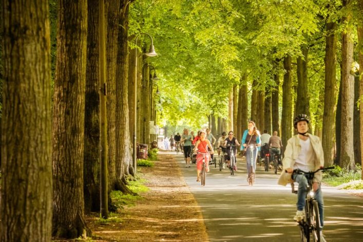 Münster bezienswaardigheden fietsen