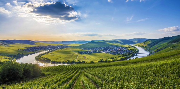 Weinhaus-Halfenstube3