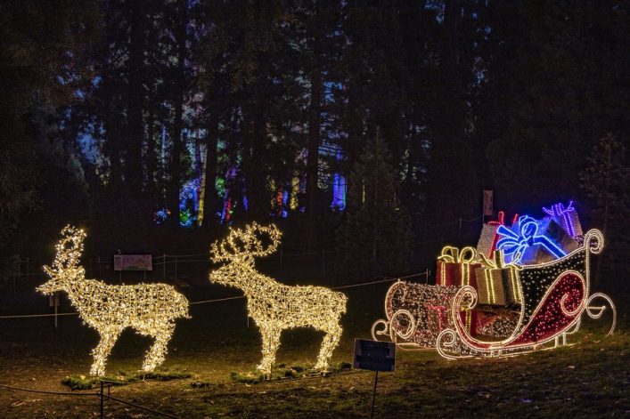 Christmas-Garden-Munster©Christmas-Garden-Deutschland-6