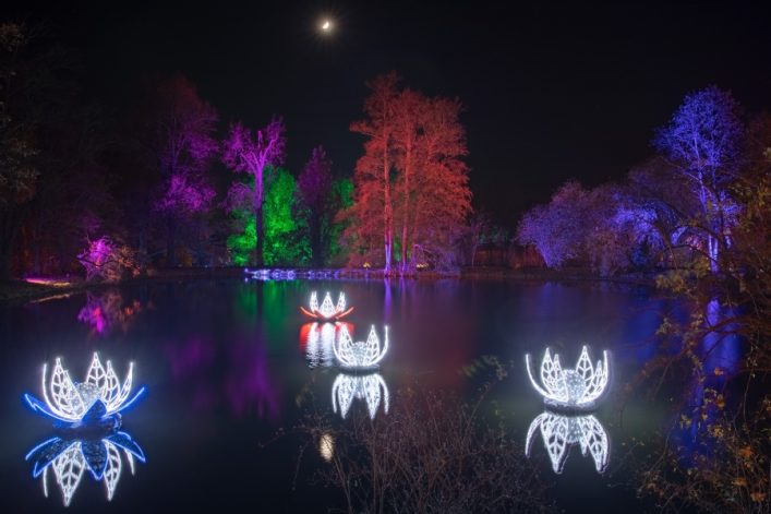 Christmas-Garden-Munster©Christmas-Garden-Deutschland