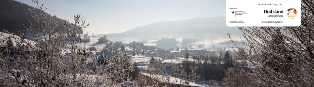 Winter Zwarte Woud