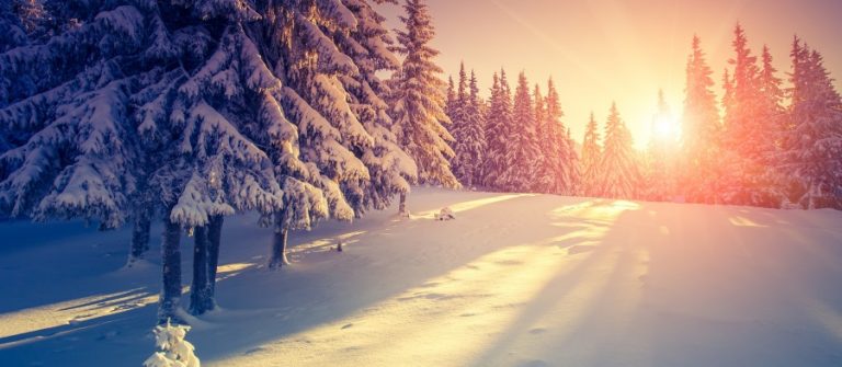 Sneeuw op de piste