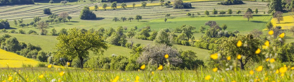 SALES_Tourismus-Zentrale-Saarland-Bliesgau-CEike-Dubois
