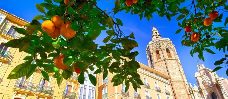 Valencia-Spain-Plaza-de-la-Reina-with-Orange-Tree-shutterstock_548069473