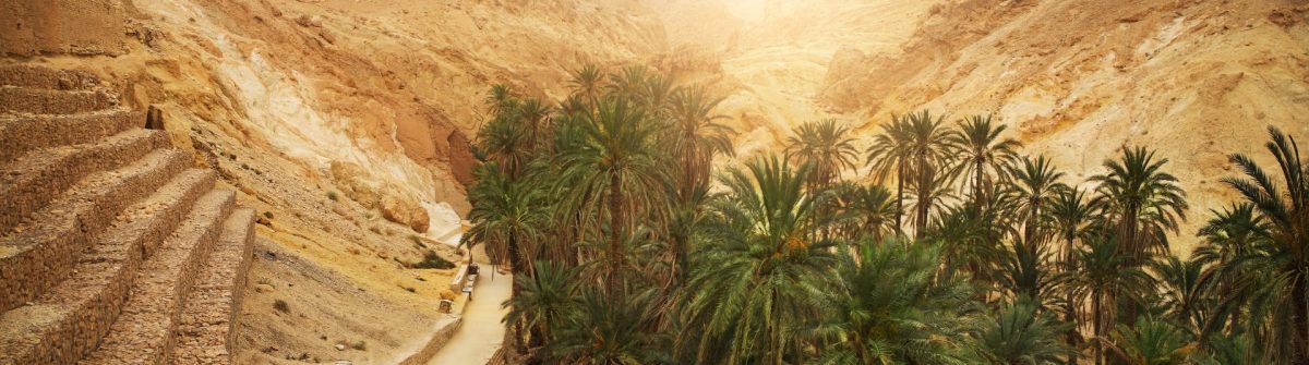 Oasis Chebika