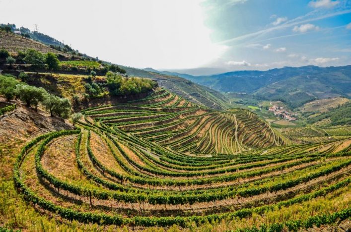 Douro vallei
