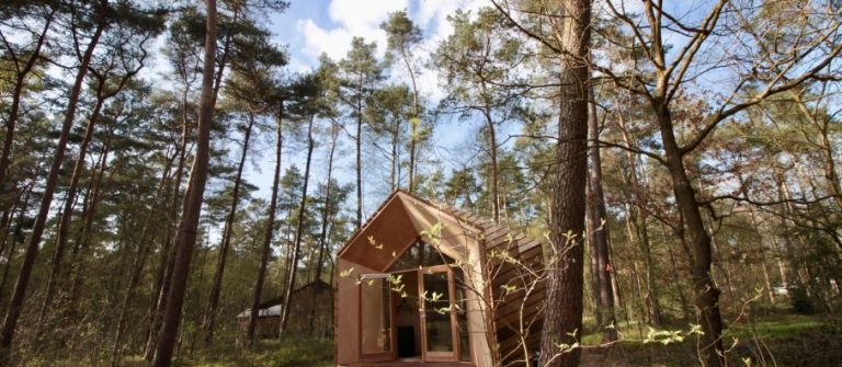 Duurzaam huisje in het bos