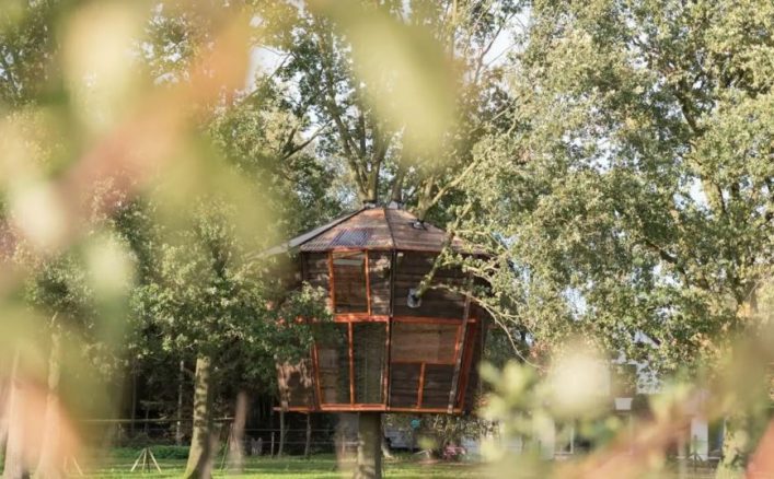 Treehotel Goldsworthy