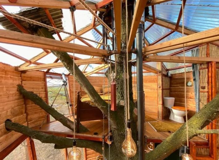 Treehotel Goldsworthy