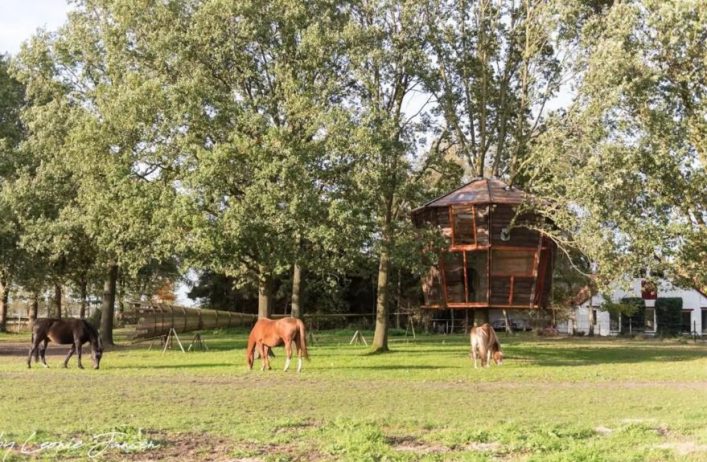 Treehotel Goldsworthy