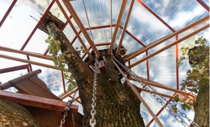 Treehotel Goldsworthy