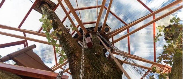 Treehotel Goldsworthy