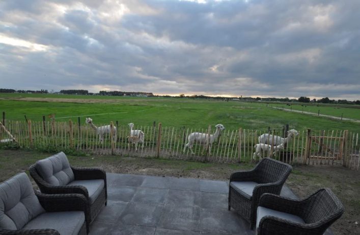 Alpaca IJsseldelta Lodges