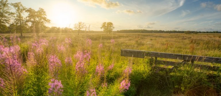 vakantie Drenthe