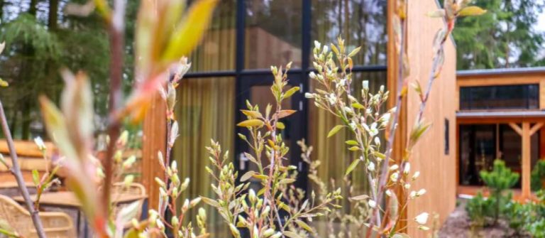 Droompark Beekbergen Tiny House