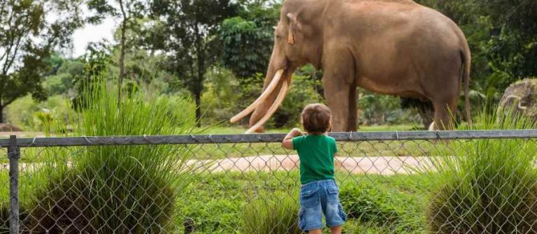 Zoo