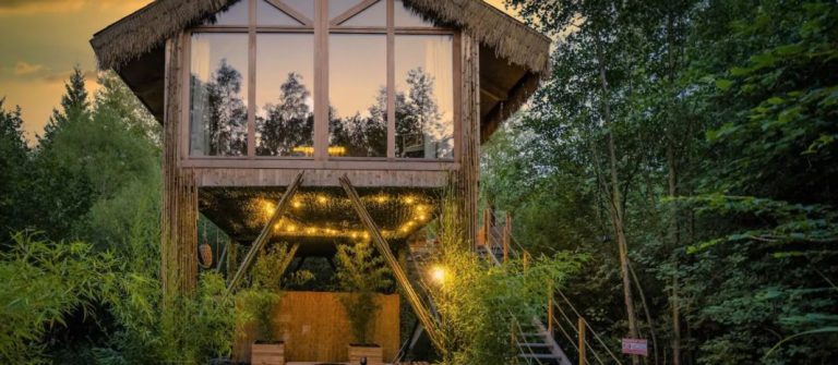 Boomhut jacuzzi