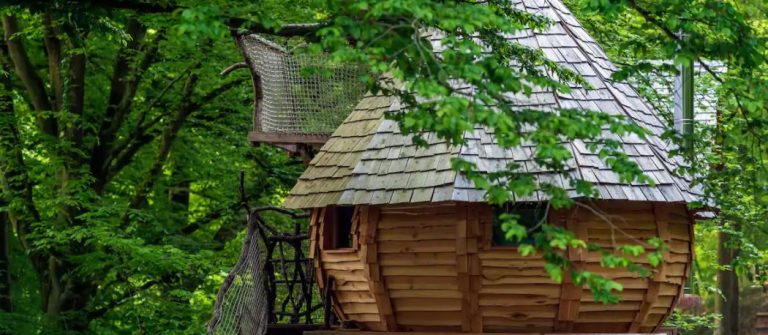 Boomhut in de Ardennen