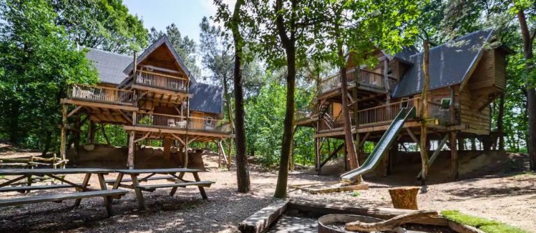 Boomhut airbnb