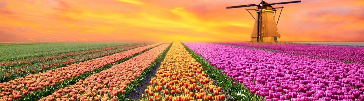 Mooiste plekken Nederland