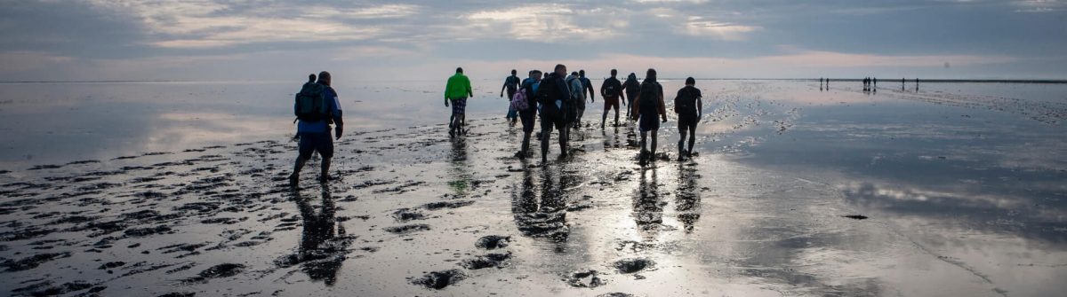 Wadlopen