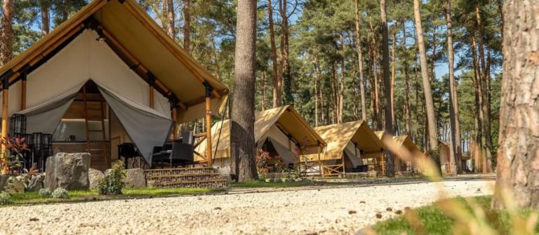 Tentlodge in Limburg