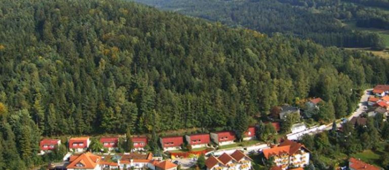 Burghotel am Hohen Bogen